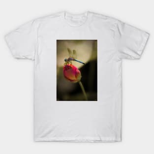 Lotus Bud and Dragonfly On the Lily Pond T-Shirt